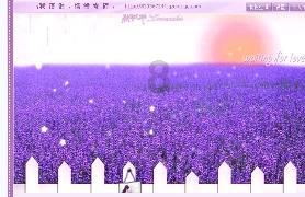 大成鼎才的课程质量怎么样?